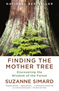 Finding The Mother Tree - Indie Indie Bang! Bang!