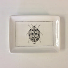 Load image into Gallery viewer, Insect Trinket Dishes - Indie Indie Bang! Bang!