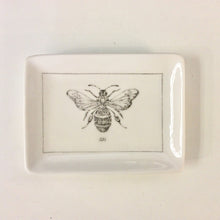 Load image into Gallery viewer, Insect Trinket Dishes - Indie Indie Bang! Bang!