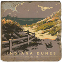 Load image into Gallery viewer, Indiana Dunes National Park Cloudy Coaster - Indie Indie Bang! Bang!