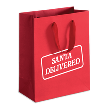Load image into Gallery viewer, Santa Delivered - Holiday Funny Gift Bag