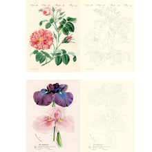 Load image into Gallery viewer, John Derian Colouring Book: Flowers