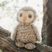 Load image into Gallery viewer, Blink Owl