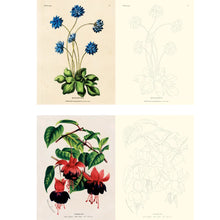 Load image into Gallery viewer, John Derian Colouring Book: Flowers