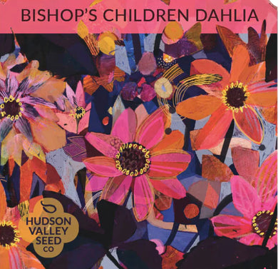Bishop's Children Dahlia Seeds (Certified Organic)