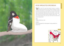 Load image into Gallery viewer, Extremely Accurate Birds: An Anatomically Precise Field Guide to Common Backyard Birds of North America - Indie Indie Bang! Bang!