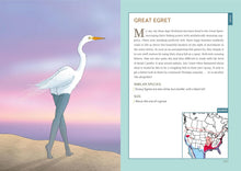Load image into Gallery viewer, Extremely Accurate Birds: An Anatomically Precise Field Guide to Common Backyard Birds of North America - Indie Indie Bang! Bang!