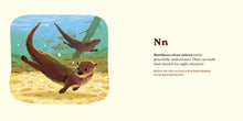Load image into Gallery viewer, Animals of The National Parks: An Alphabet Book - Indie Indie Bang! Bang!