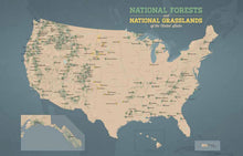 Load image into Gallery viewer, Our National Forests: Stories from America’s Most Important Public Lands - Indie Indie Bang! Bang!