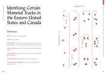 Load image into Gallery viewer, How To Read The Wilderness: An Illustrated Guide to the Natural Wonders of North America - Indie Indie Bang! Bang!