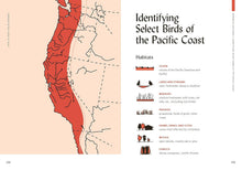 Load image into Gallery viewer, How To Read The Wilderness: An Illustrated Guide to the Natural Wonders of North America - Indie Indie Bang! Bang!