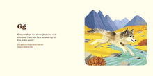 Load image into Gallery viewer, Animals of The National Parks: An Alphabet Book - Indie Indie Bang! Bang!
