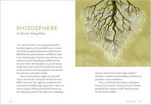 Load image into Gallery viewer, A Forest Language: Words That Illuminate the Astonishing World of Trees
