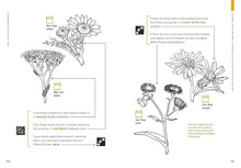 Load image into Gallery viewer, How To Read The Wilderness: An Illustrated Guide to the Natural Wonders of North America - Indie Indie Bang! Bang!