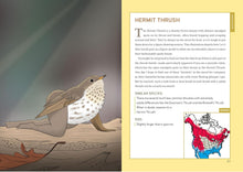 Load image into Gallery viewer, Extremely Accurate Birds: An Anatomically Precise Field Guide to Common Backyard Birds of North America - Indie Indie Bang! Bang!