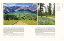 Load image into Gallery viewer, Our National Forests: Stories from America’s Most Important Public Lands - Indie Indie Bang! Bang!