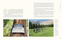 Load image into Gallery viewer, Our National Forests: Stories from America’s Most Important Public Lands - Indie Indie Bang! Bang!