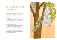 Load image into Gallery viewer, A Forest Language: Words That Illuminate the Astonishing World of Trees