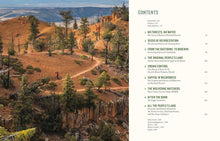 Load image into Gallery viewer, Our National Forests: Stories from America’s Most Important Public Lands - Indie Indie Bang! Bang!
