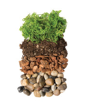 Load image into Gallery viewer, Terrarium Kit Diy Mason Jar