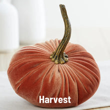 Load image into Gallery viewer, Small Velvet Pumpkins