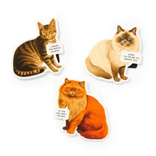 Load image into Gallery viewer, Moody Cats Magnetic Bookmark Set
