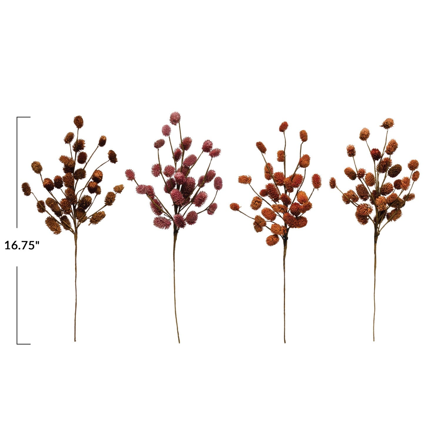 Natural Dried Thistle - Thumbnail 4