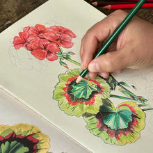 Load image into Gallery viewer, John Derian Colouring Book: Flowers