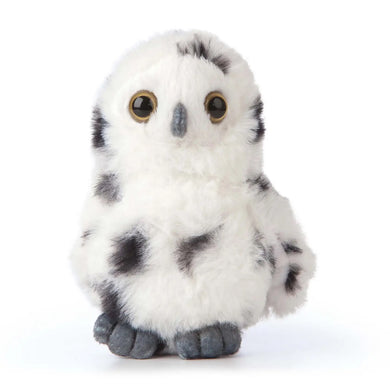Small Snowy Owl - Indie Indie Bang! Bang!