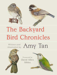 The Backyard Bird Chronicles - Indie Indie Bang! Bang!