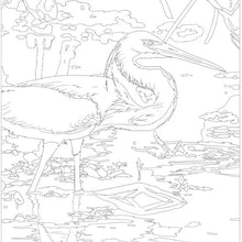 Load image into Gallery viewer, National Parks Coloring Book - Indie Indie Bang! Bang!