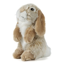 Load image into Gallery viewer, Nature Rabbit - Indie Indie Bang! Bang!
