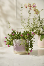 Load image into Gallery viewer, Skyway Flower Pot - Purple - Indie Indie Bang! Bang!