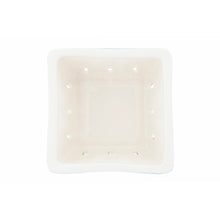 Load image into Gallery viewer, Berry Bowl with Pattern - Indie Indie Bang! Bang!