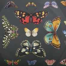Load image into Gallery viewer, 8 ct Black Butterfly Plates - Indie Indie Bang! Bang!