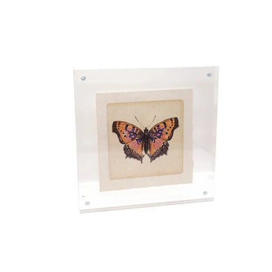 Acrylic Standing Frame 7