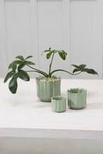 Load image into Gallery viewer, Everleaf Pot - Large - Indie Indie Bang! Bang!