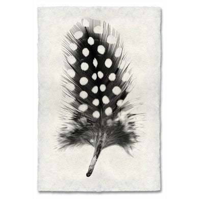 Feather Study #1