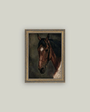 Horse Portrait Antique Art - Indie Indie Bang! Bang!