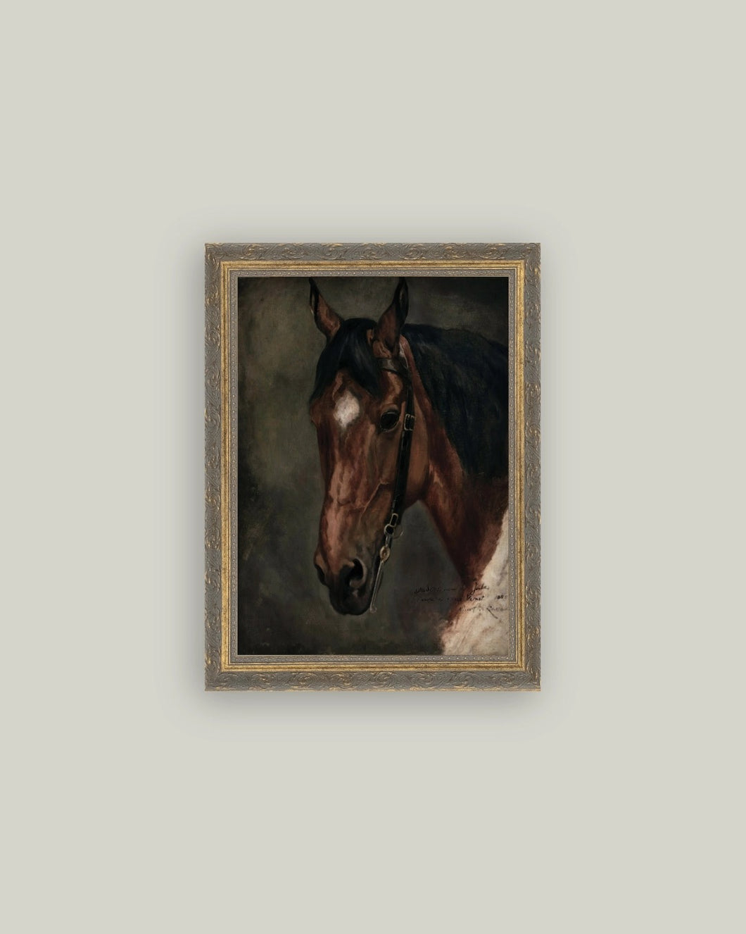 Horse Portrait Antique Art - Indie Indie Bang! Bang!