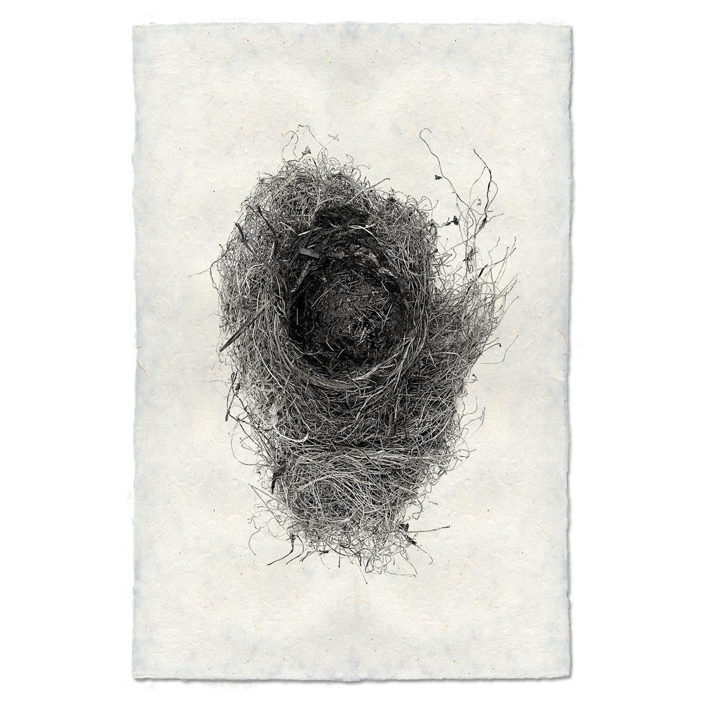 Large Nest Study #6