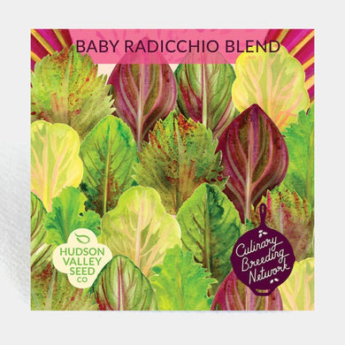 Baby Radicchio Blend Seeds - Indie Indie Bang! Bang!