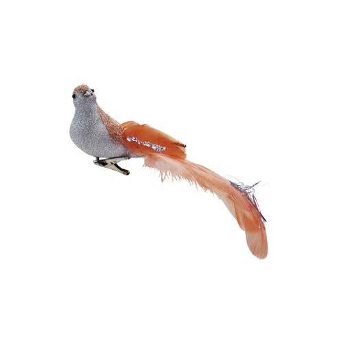 Foam Bird with Clip - Indie Indie Bang! Bang!