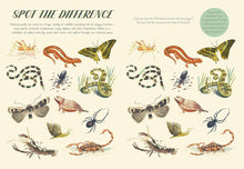 Load image into Gallery viewer, National Parks of the U.S.A. Activity Book - Indie Indie Bang! Bang!