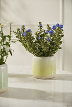 Load image into Gallery viewer, Skyway Flower Pot - yellow - Indie Indie Bang! Bang!