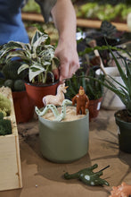 Load image into Gallery viewer, Mythical Creatures Plant Sticks - Indie Indie Bang! Bang!