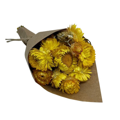 Mini Strawflower Bundle - Yellow - Indie Indie Bang! Bang!