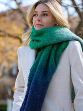 Load image into Gallery viewer, Tansy Lee Multi-Color Scarf