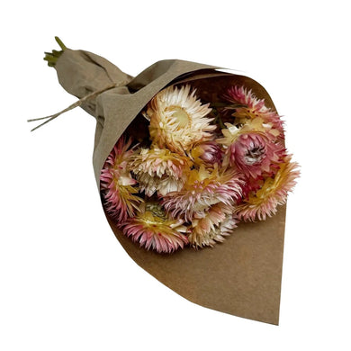 Mini Strawflower Bundle - Pink - Indie Indie Bang! Bang!