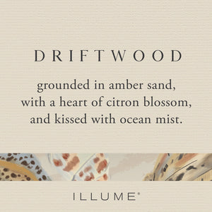 Driftwood Demi Vanity Tin Candle - Indie Indie Bang! Bang!